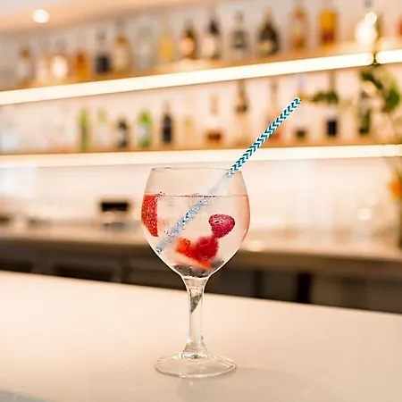 Hotel Petit Sagitario (adults Only)